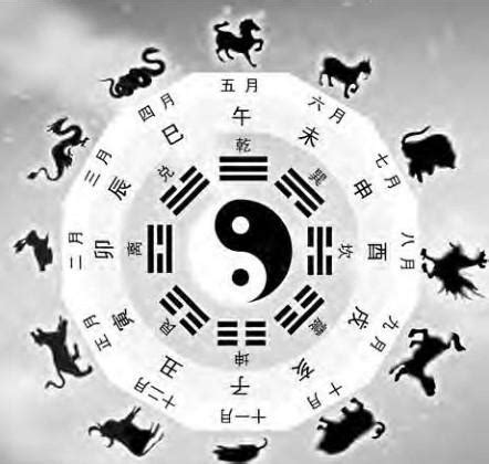 生肖天干地支|生肖纪年